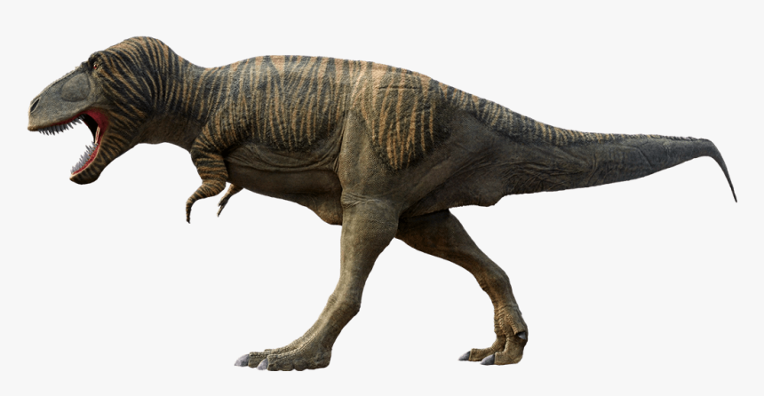 Transparent Tyrannosaurus Rex Png - Chicken Lizard, Png Download, Free Download