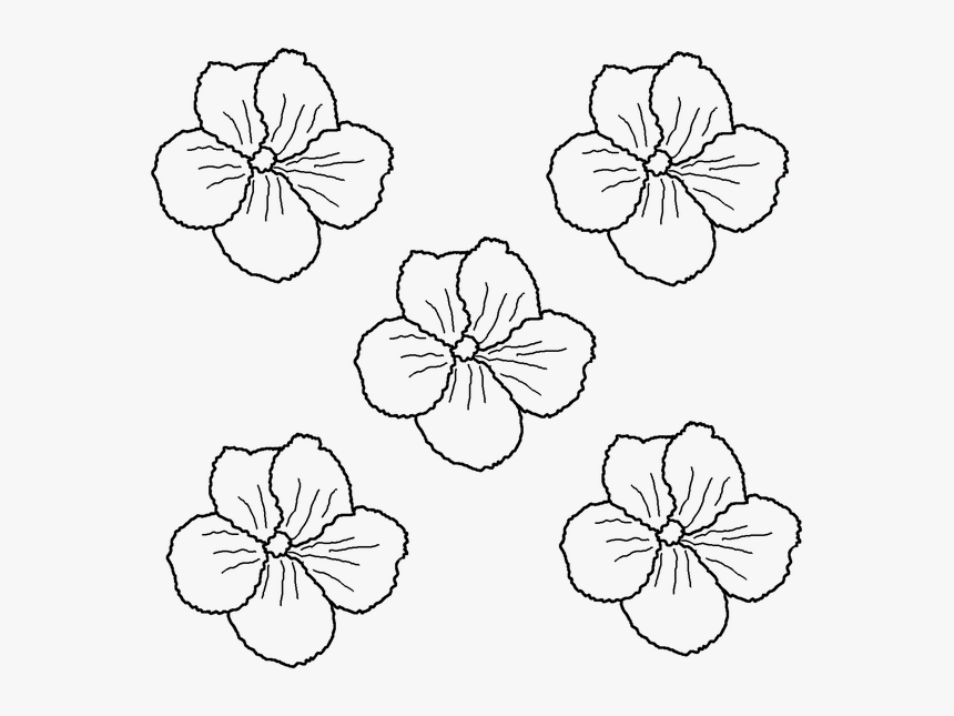 Flower, Vector, Drawing, Floral, Decorative - Gėlės Spalvinimui, HD Png Download, Free Download