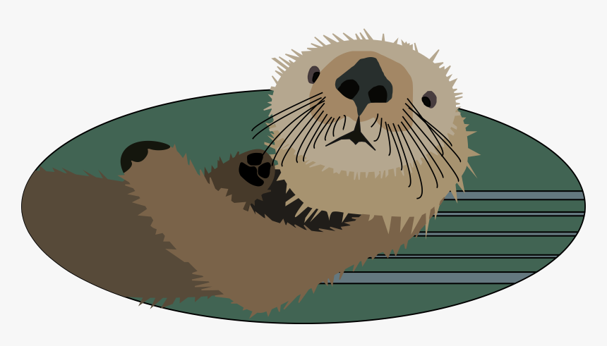 Otter, Animal, Mammal, Wildlife, Nature, River, Zoo - Sea Otter Clipart, HD Png Download, Free Download