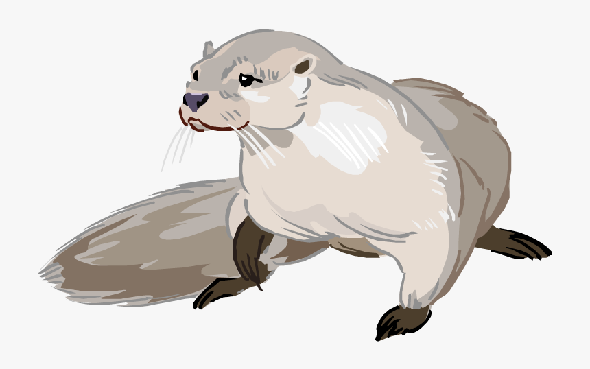 Otter Png Photo - Drawing Cartoon Sea Otter, Transparent Png, Free Download