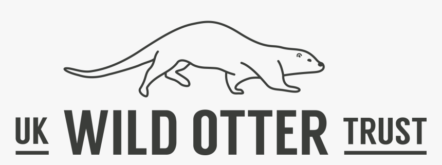 Uk Wild Otter Trust - Otter Trust, HD Png Download, Free Download