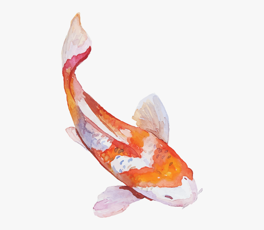 For Every $1 You Spend At D"s Authentic Japanese, You - Japanese Fish Png, Transparent Png, Free Download