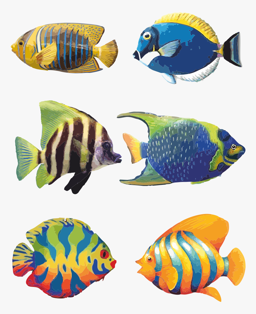 Аквариумные рыбы для детей. Скалярия аквариумная рыбка. Тропические рыбки. Разноцветные морские рыбки. Рыбы для вырезания цветные.