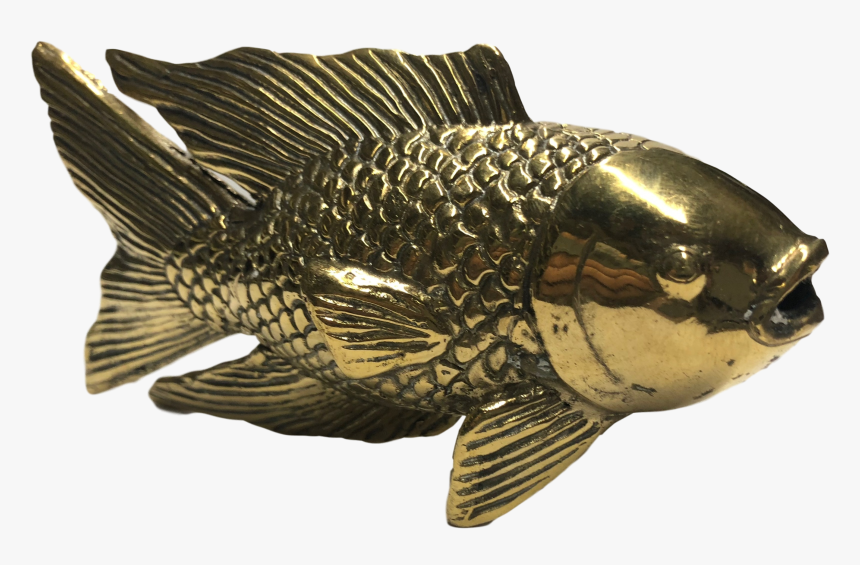 Golden Koi Fish - Carp, HD Png Download, Free Download