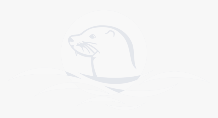 Otter Tarn Holiday Accommodation - Sea Otter, HD Png Download, Free Download