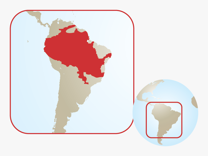 South America Map Png, Transparent Png, Free Download