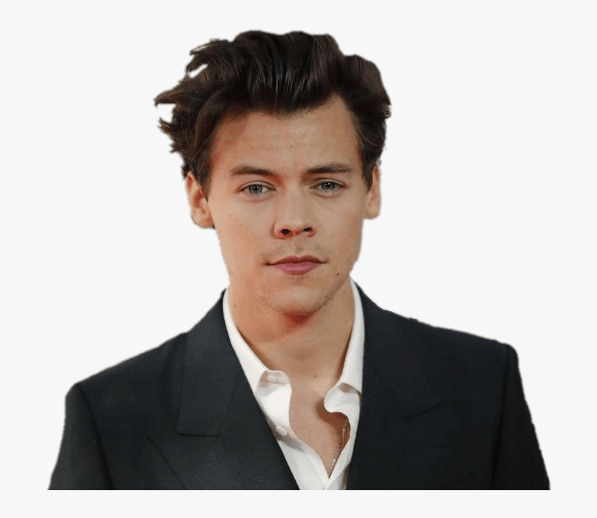 Harry Styles, HD Png Download, Free Download