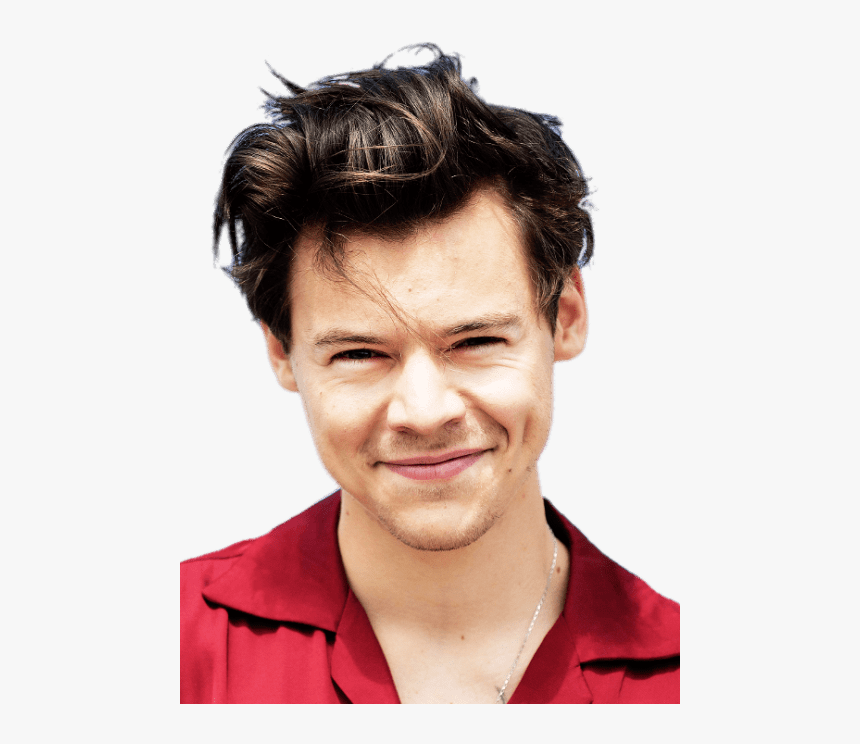 Harry Styles Red Shirt - Harry Styles Carolina Lyrics, HD Png Download, Free Download