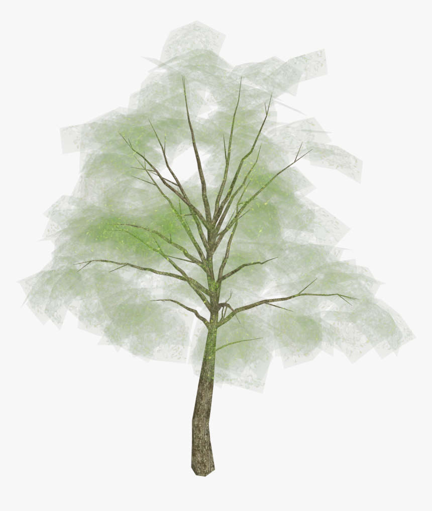 Tree Png Picture - Grass, Transparent Png, Free Download