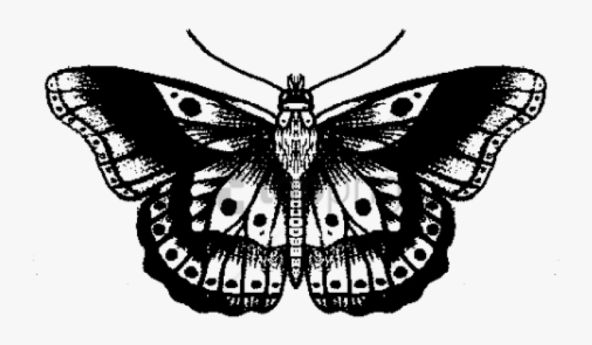 Butterfly Tattoo Designs Png Transparent Images - Harry Styles Butterfly Tattoo Drawing, Png Download, Free Download