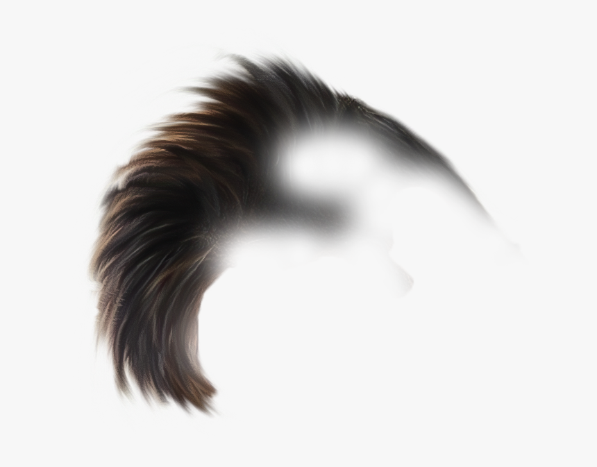 Picsart Hair Cut Logo Png, Transparent Png, Free Download