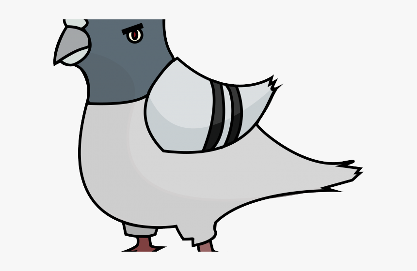 Pigeon Clipart Pigon - Cartoon Pigeon Png, Transparent Png, Free Download