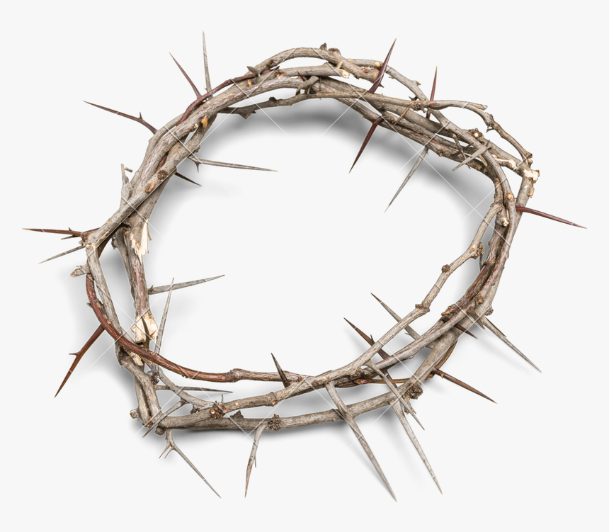 Crown Of Thorns Background - Transparent Background Crown Of Thorns Png, Png Download, Free Download