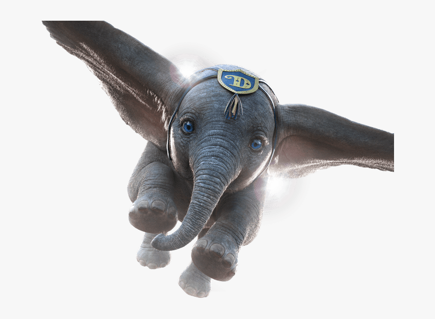 Transparent Dumbo Png - Dumbo 2019, Png Download, Free Download
