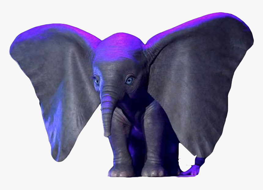 Logodumbo2019 - Dumbo Transparent Background 2019, HD Png Download, Free Download