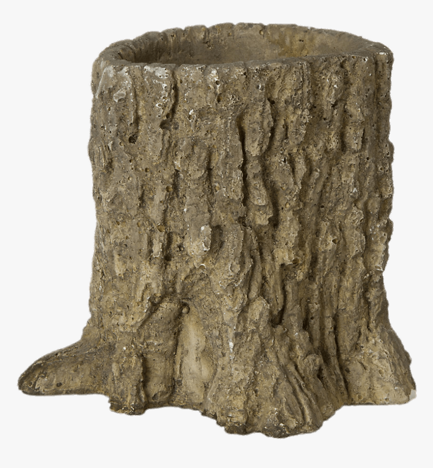 Tree Trunk Decoration - Tree Stump Transparent Background, HD Png Download, Free Download