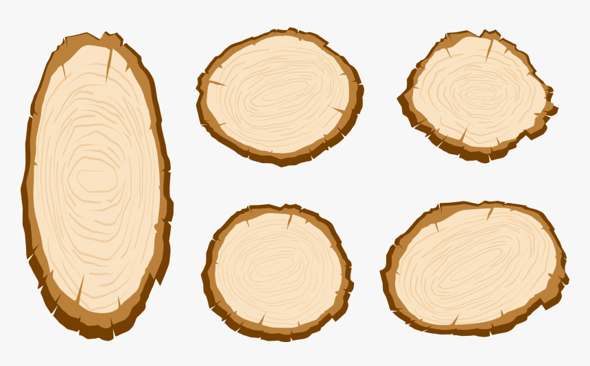 Transparent Tree Stump Png - Wood Slice Vector Free, Png Download, Free Download
