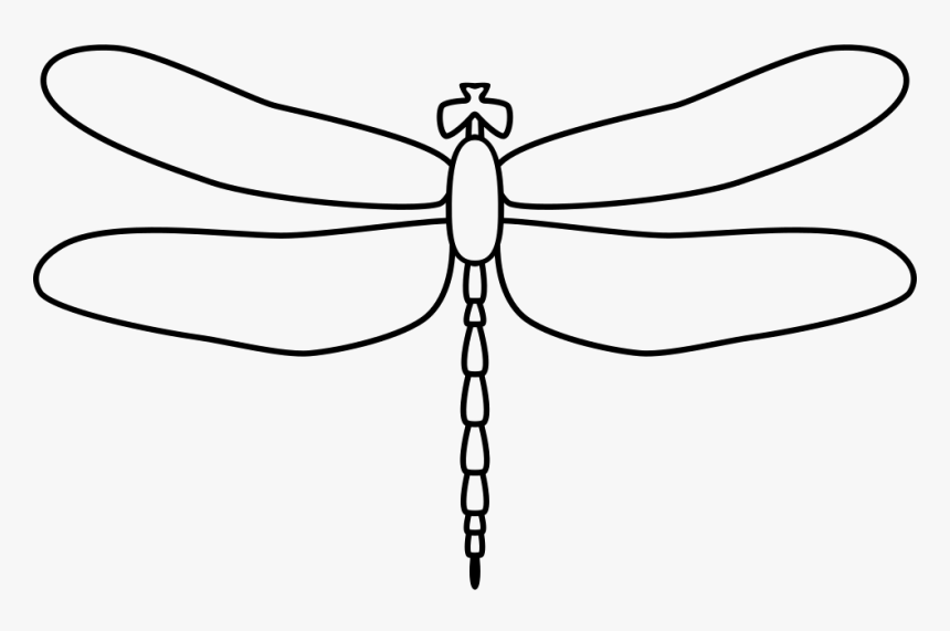 Dragonfly - Black And White Dragonfly Outline Png, Transparent Png, Free Download