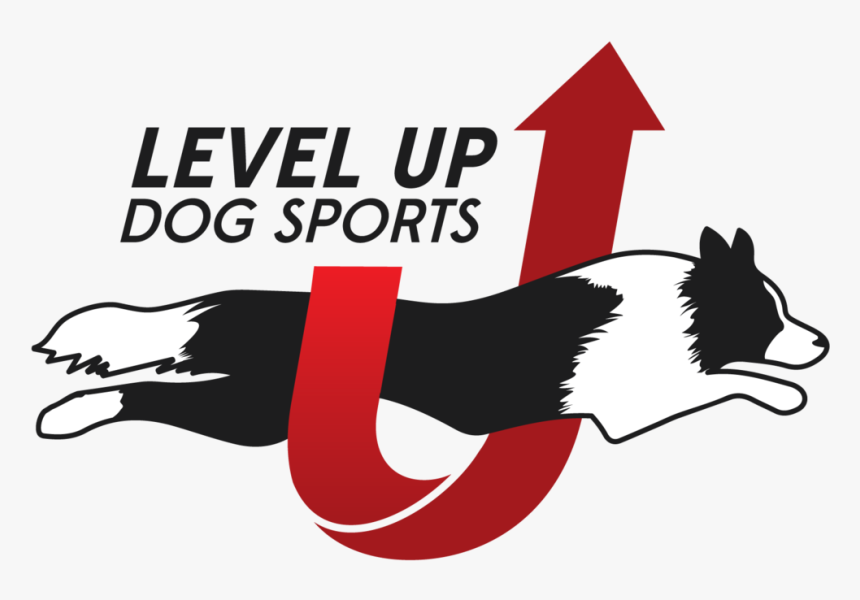 Levelup Branding Final 01 - Dog Catches Something, HD Png Download, Free Download