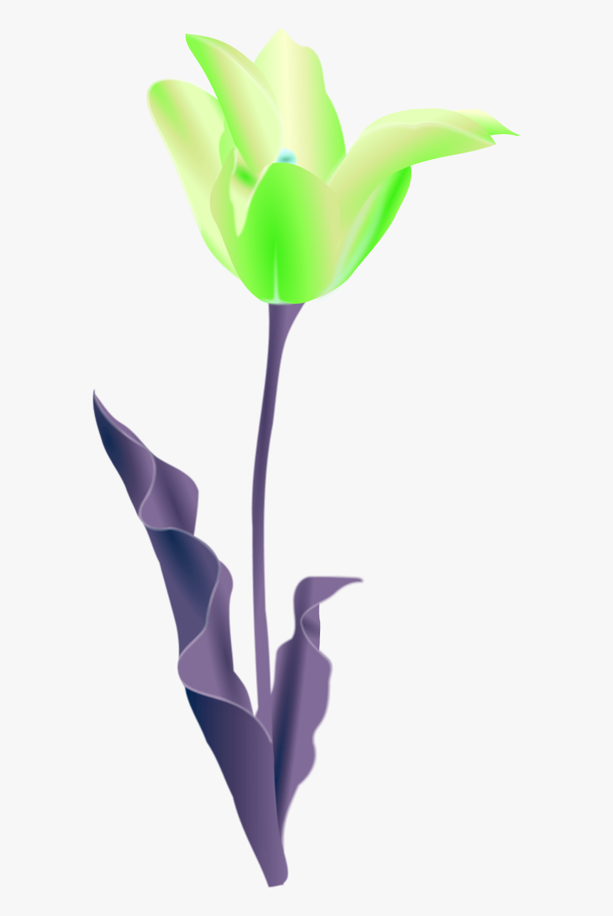 Simple Flower Outline - Tulip Clip Art, HD Png Download, Free Download