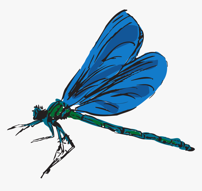 Blue Dragonfly Transparent Background, HD Png Download, Free Download