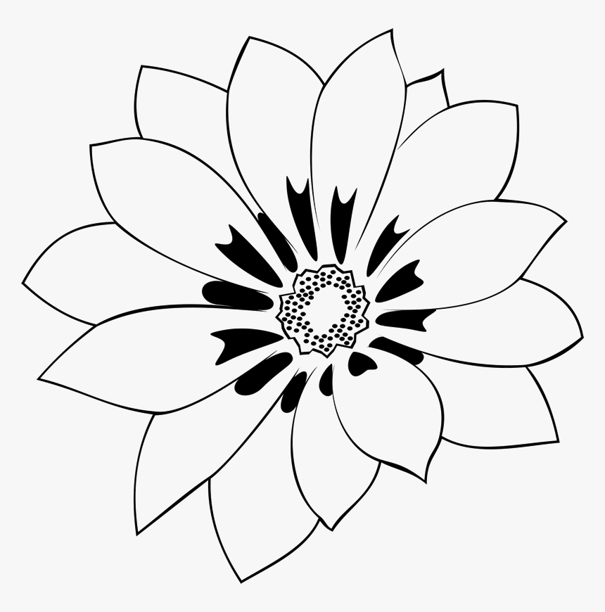 African Daisy, HD Png Download, Free Download