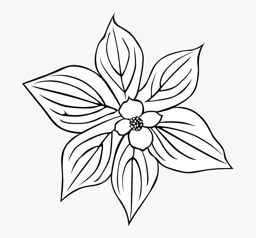 Free Free Flower Outline Svg SVG PNG EPS DXF File