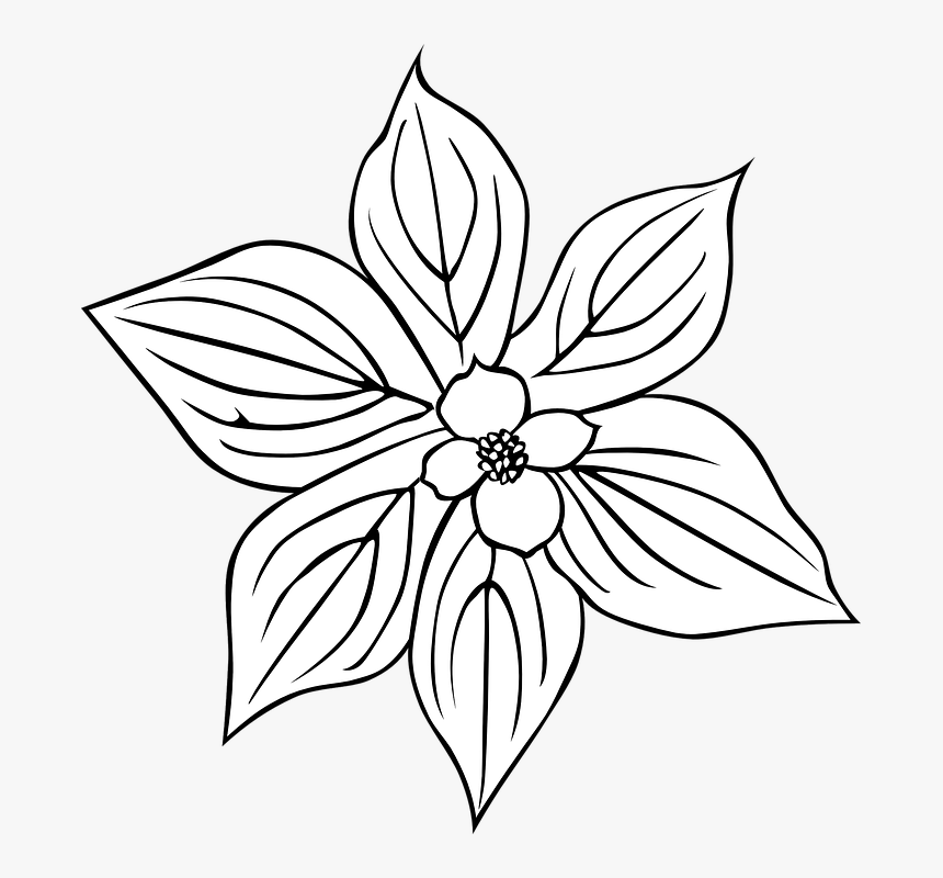 Flower Outline Svg Clip Arts - Rainforest Flowers Clipart, HD Png Download, Free Download