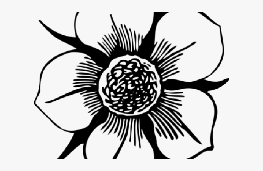 Passion Flower Clipart Outline - Flower Computer Drawing, HD Png Download, Free Download