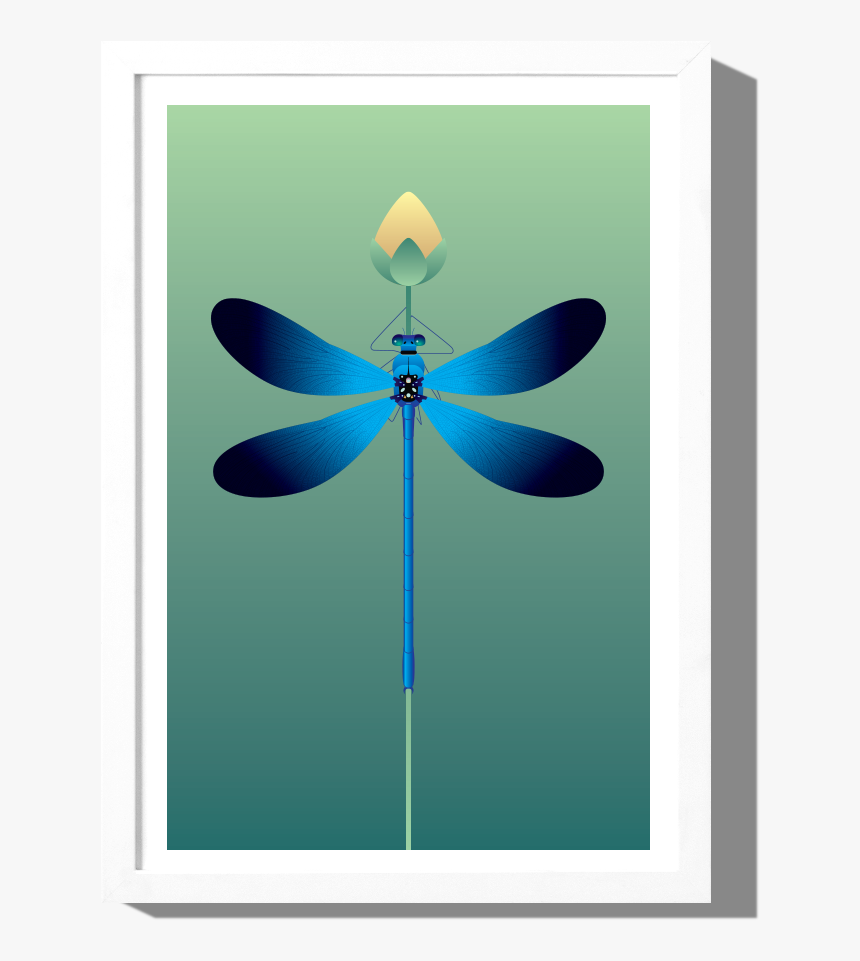 Rkr Dragonfly Frame White, HD Png Download, Free Download