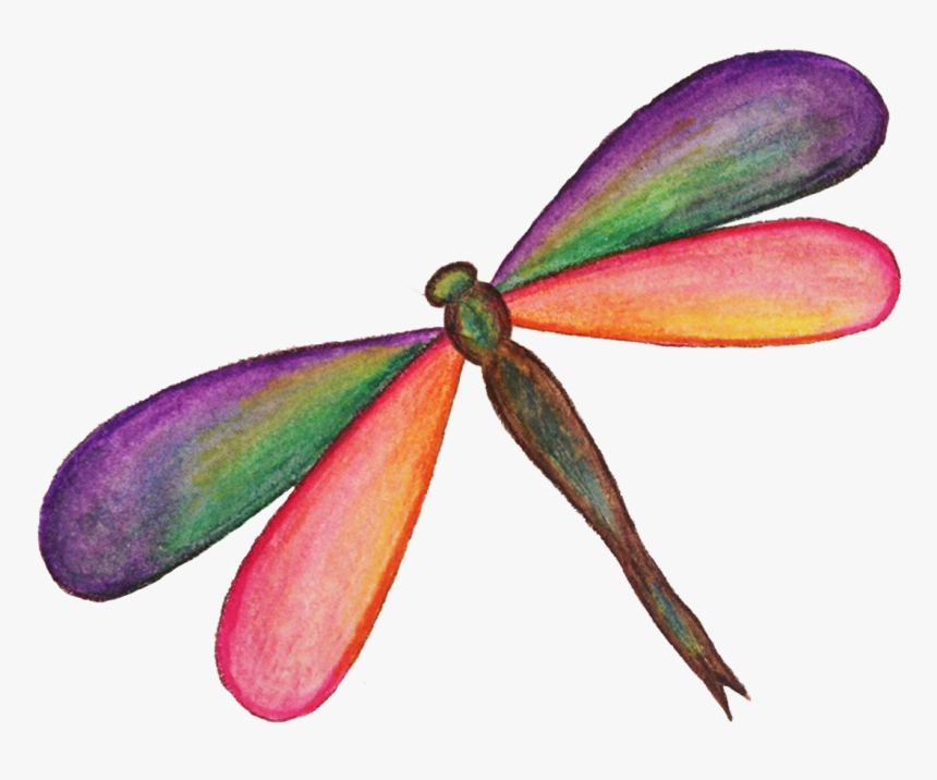 Download Dragonfly Png Hd - Dragonfly .png, Transparent Png, Free Download