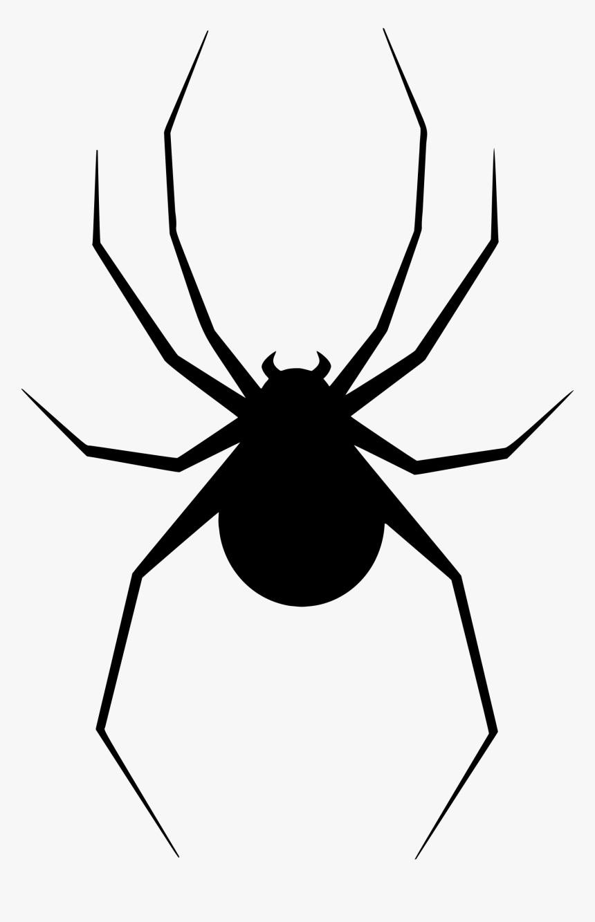 Spider Web Clip Art - Black Widow Spider Silhouette, HD Png Download, Free Download