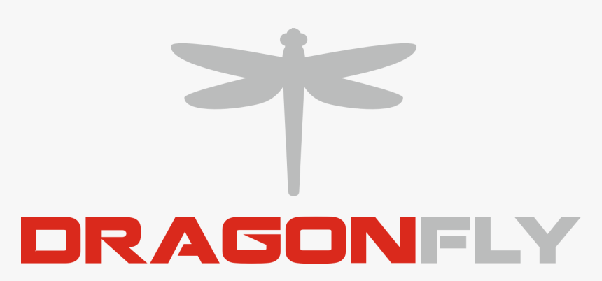 Transparent Dragonfly Png - Dragonfly, Png Download, Free Download