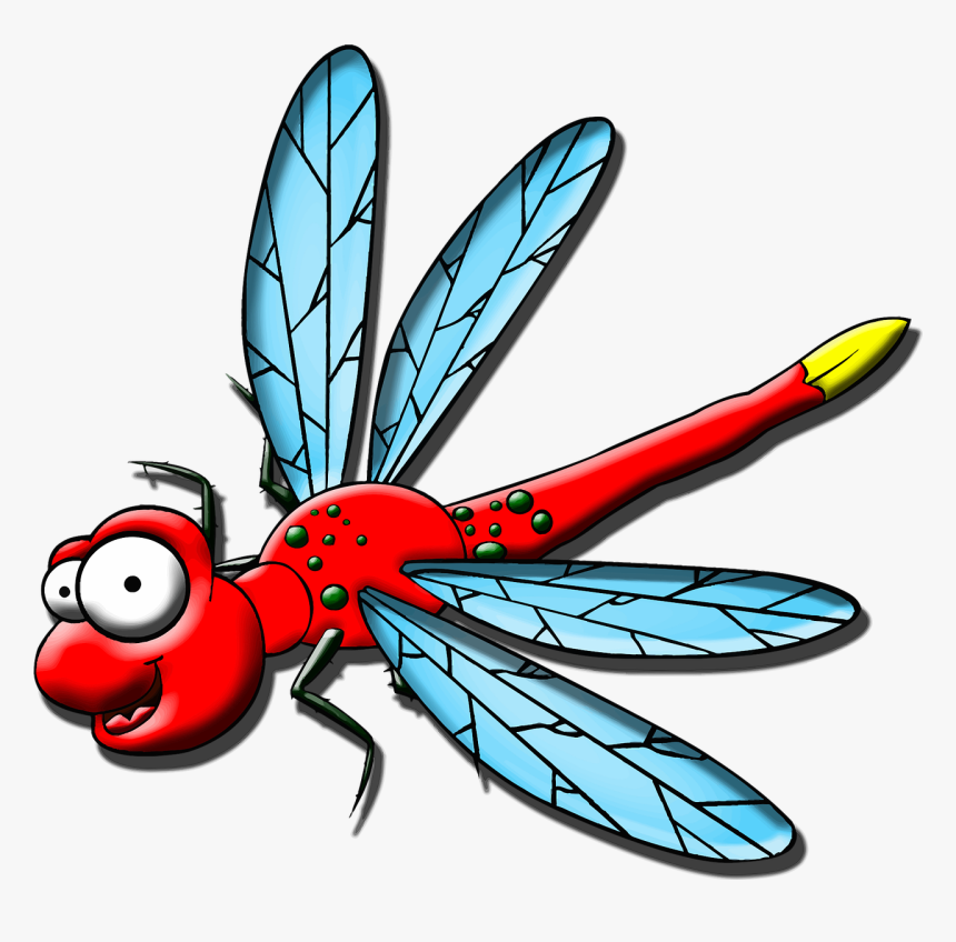 Cartoon Dragonfly - Gambar Capung Kartun, HD Png Download, Free Download