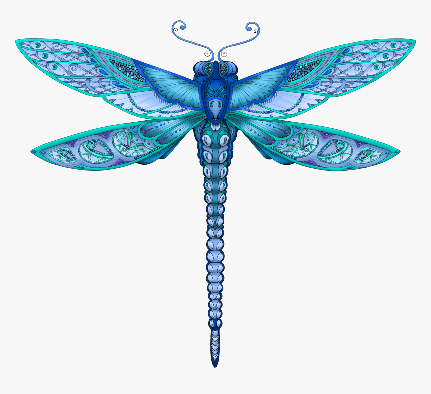 Dragonfly Silhouette Clip Art - Net-winged Insects, HD Png Download, Free Download