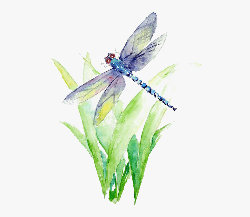 Blue And Purple Dragonfly Illustration Watercolor Painting - Watercolor Dragonfly Png, Transparent Png, Free Download