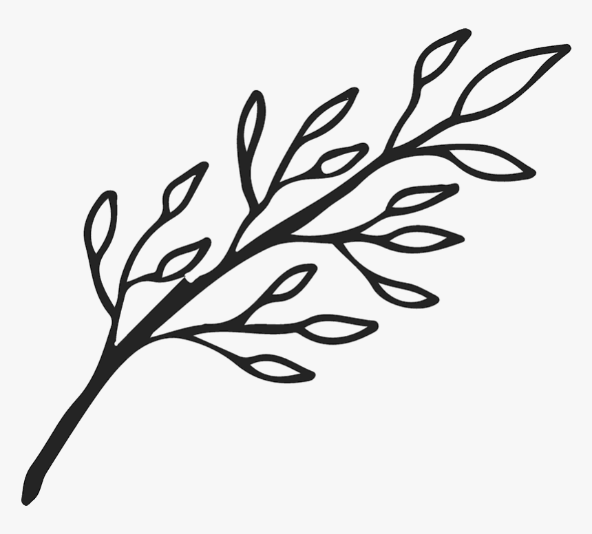 Transparent Rose Outline Png - Black And White Leaf Branch Clip Art, Png Download, Free Download