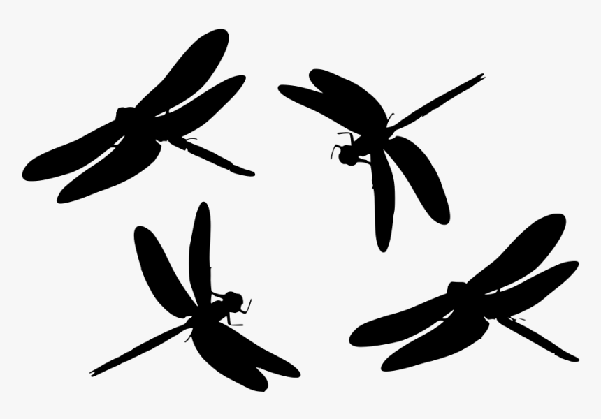 Free Dragonfly Svg, HD Png Download, Free Download