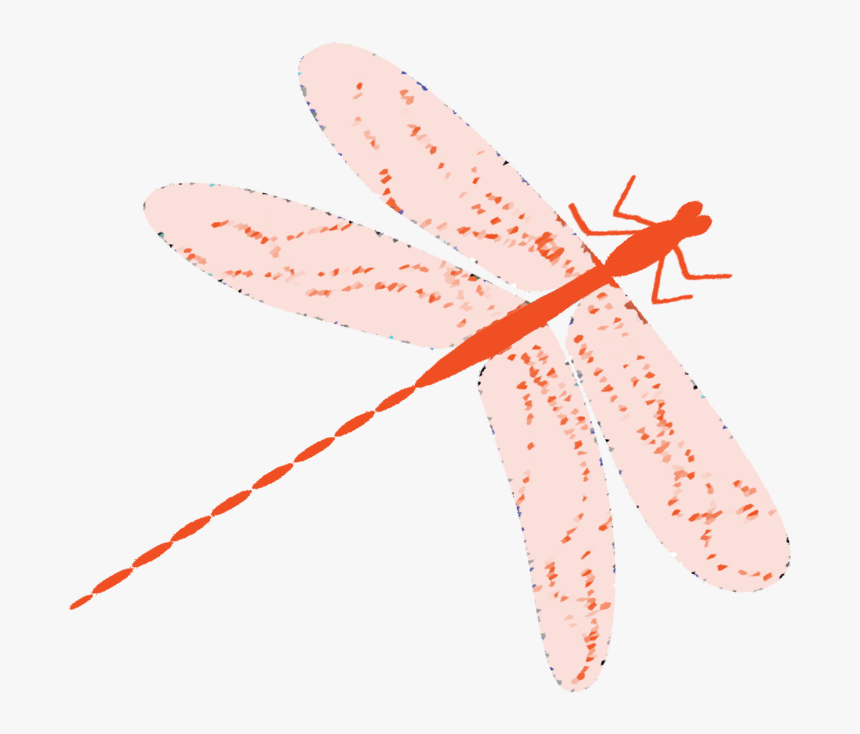 Dragonfly, HD Png Download, Free Download