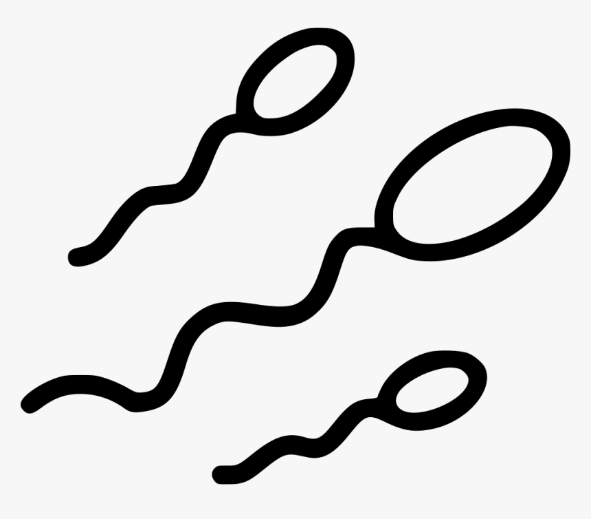 Sperm Cell Examination Man - Sperm Cells Clip Art, HD Png Download, Free Download