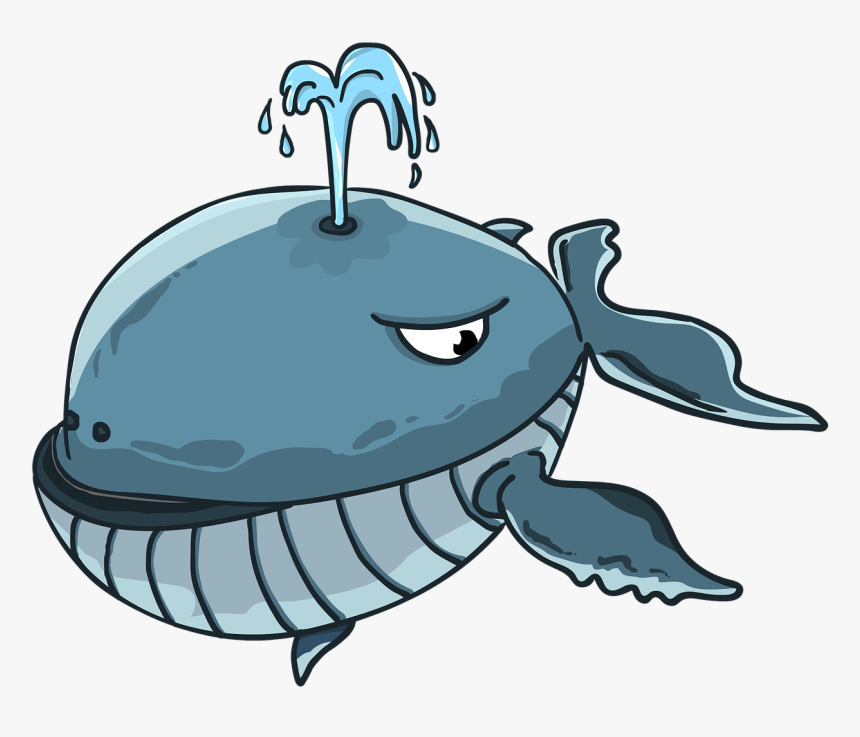 Kit, Sperm Whale, Blue Whale, Spray, Cartoon, Fountain - Drink Like A Fish, HD Png Download, Free Download