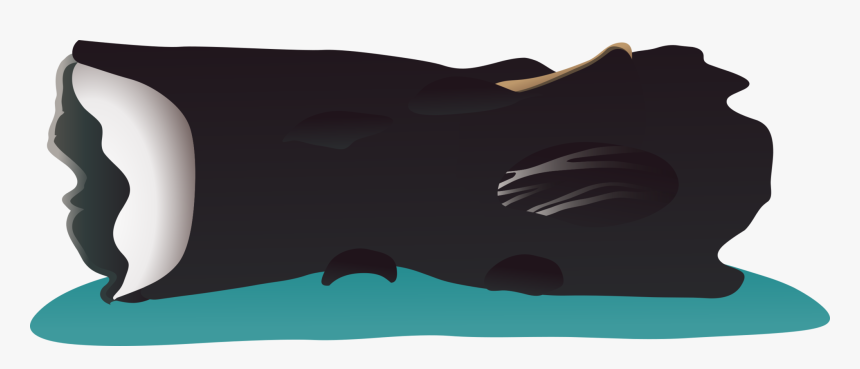 Manta Ray,sperm Whale,bowhead - Illustration, HD Png Download, Free Download