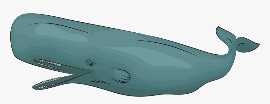 Blue Whale, HD Png Download, Free Download