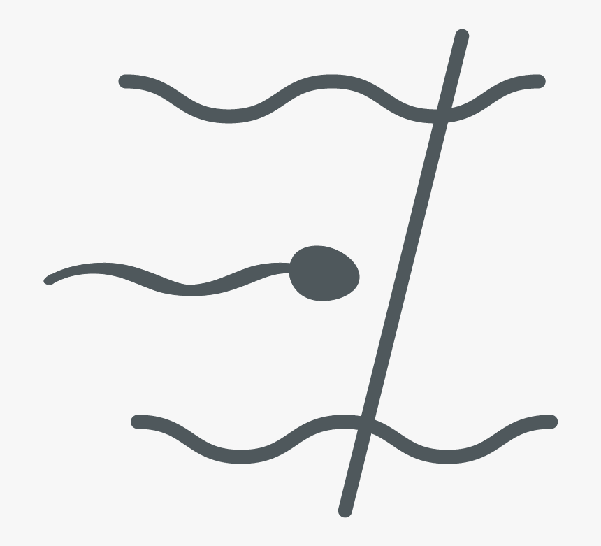 Sperm Transport, HD Png Download, Free Download