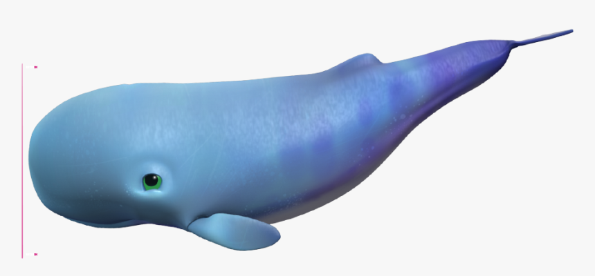 Wholphin, HD Png Download, Free Download