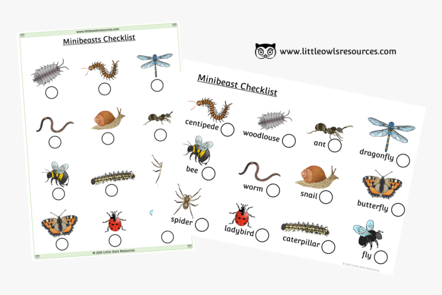 Minibeasts Checklist Cover, HD Png Download, Free Download