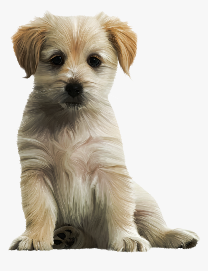 Cute Dog Png - Cute Puppy Png, Transparent Png, Free Download