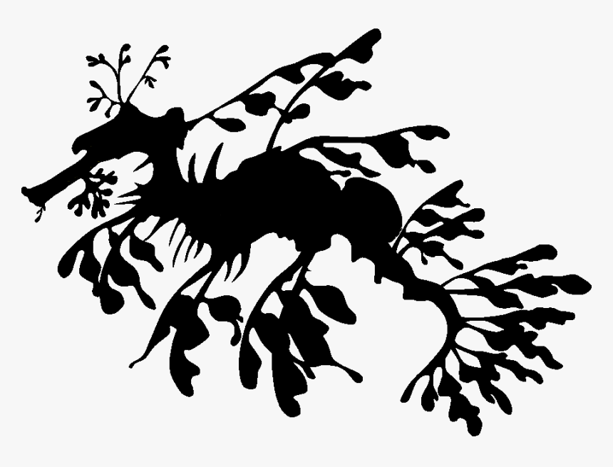 Leafy Sea Dragon Drawing, HD Png Download, Free Download