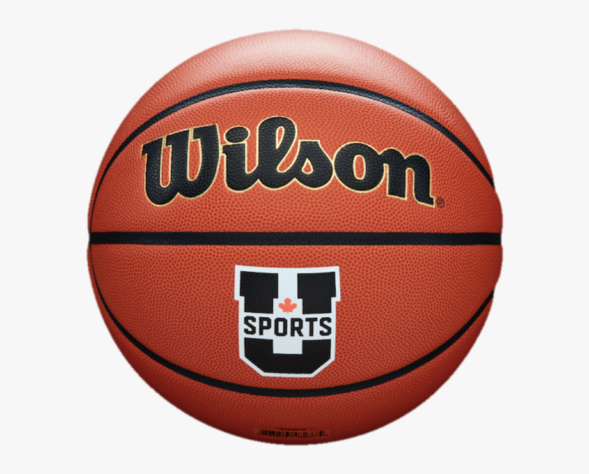 Transparent Basketballs Png - Wilson Evolution Basketball, Png Download, Free Download