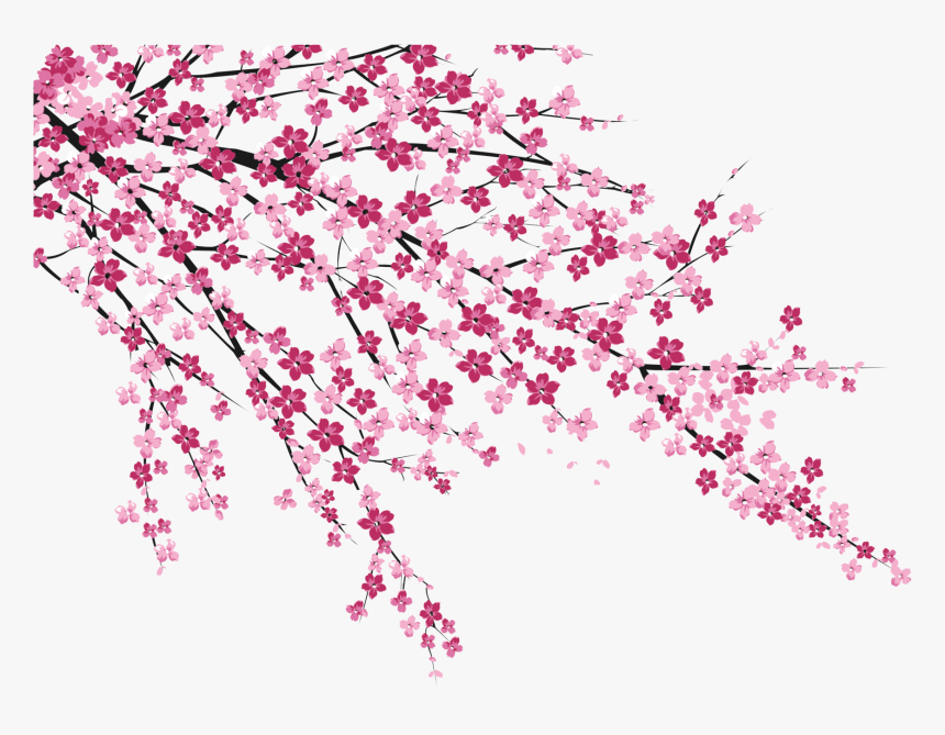 Cherry Blossom Sakura No Hanabiratachi Wall Painting - Sakura Cherry Blossom Png, Transparent Png, Free Download